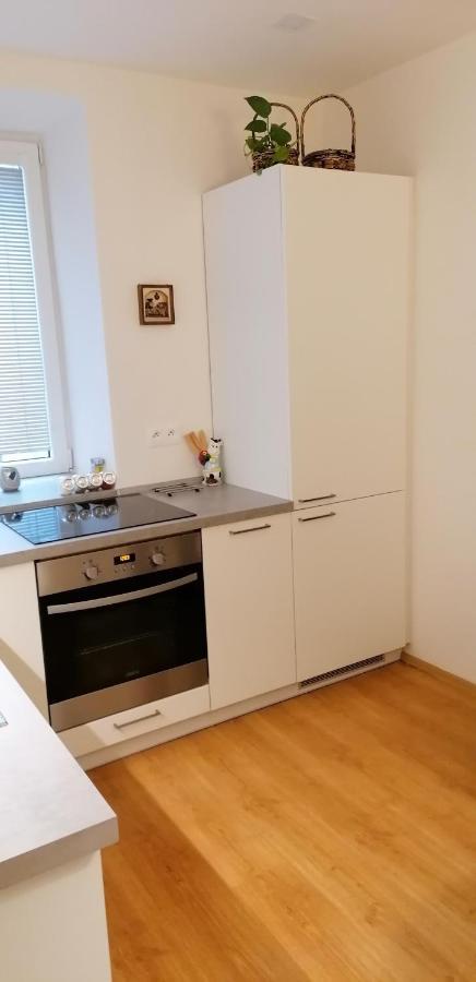 Apartman U Moravy Olomouc Eksteriør billede